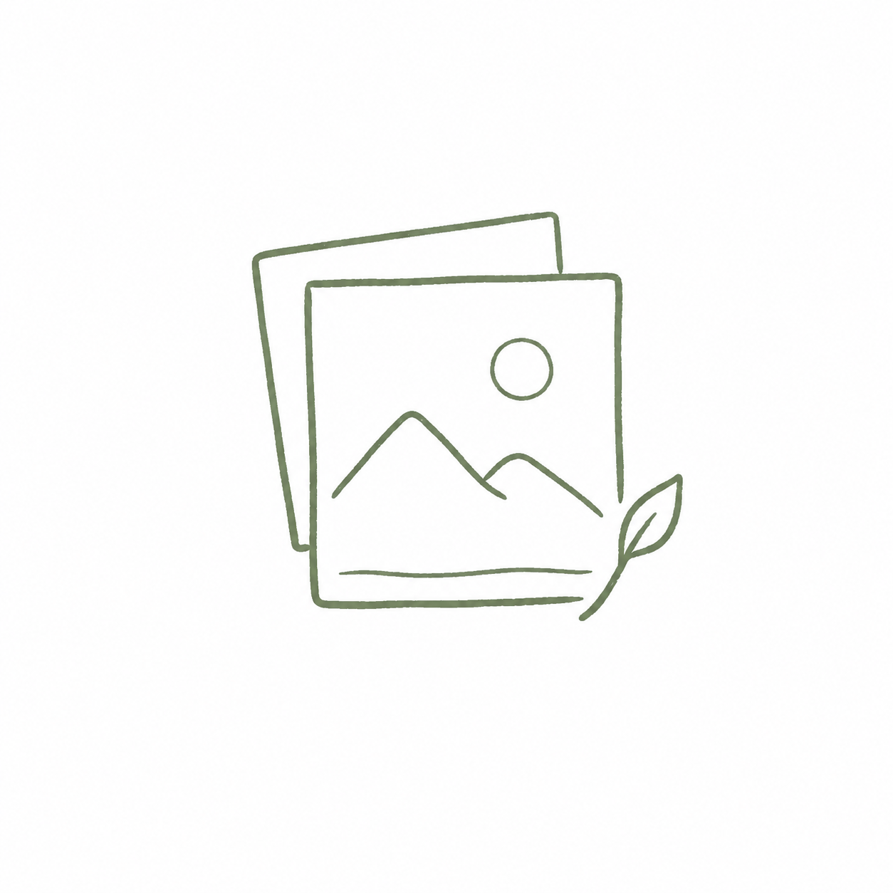 Aucune image disponible
